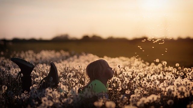 Balancing Screen Time and Outdoor Play